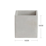 Creative Square Cement Planter for Succulents and Cacti