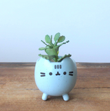 Hand-Painted Ceramic Succulent Planter Pot