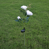 Solar-Powered LED Garden Light