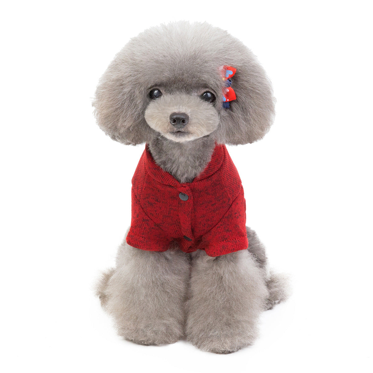 Pet Cat and Dog Apparel - Teddy Sweater and Accessories
