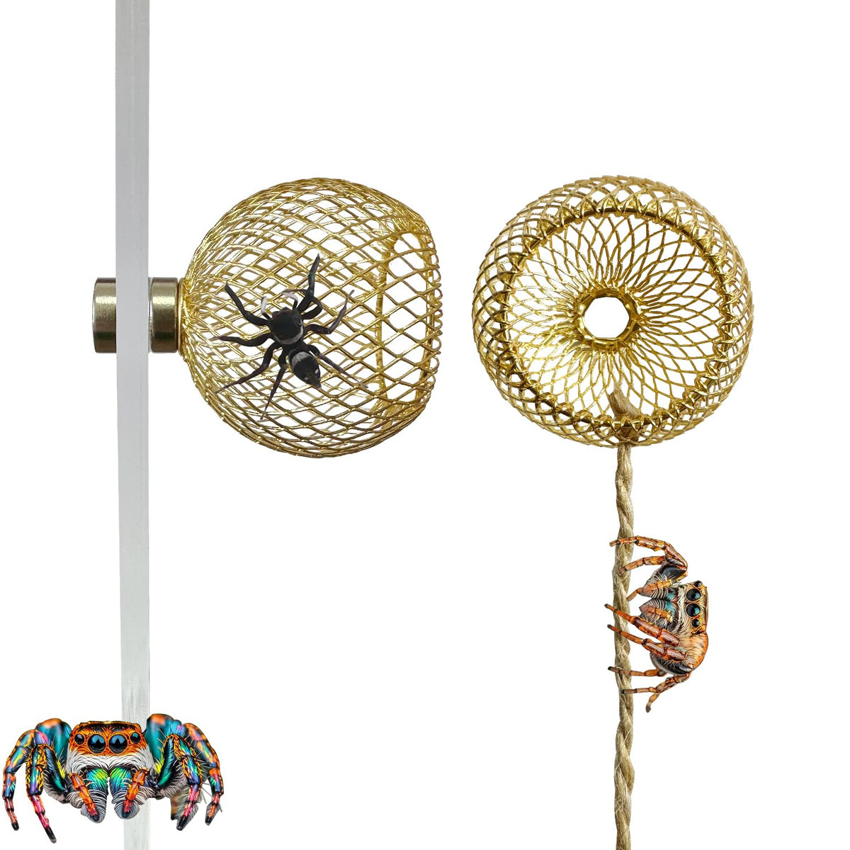 Okueejur 2PCS Jumping Spider Hide Jumping Spider Enclosure Accessories Pet Spider Hideout Enclosure Accessories (Not Included The Jumping Spider Terrarium) (Gold)