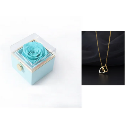 BloomSpin Acrylic Jewelry Organizer