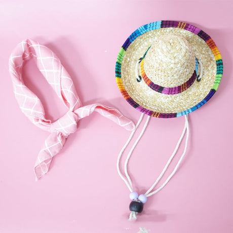 Summer Outing Set for Pet Accessories