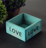 Succulent Planter with Wooden Box and Organizer