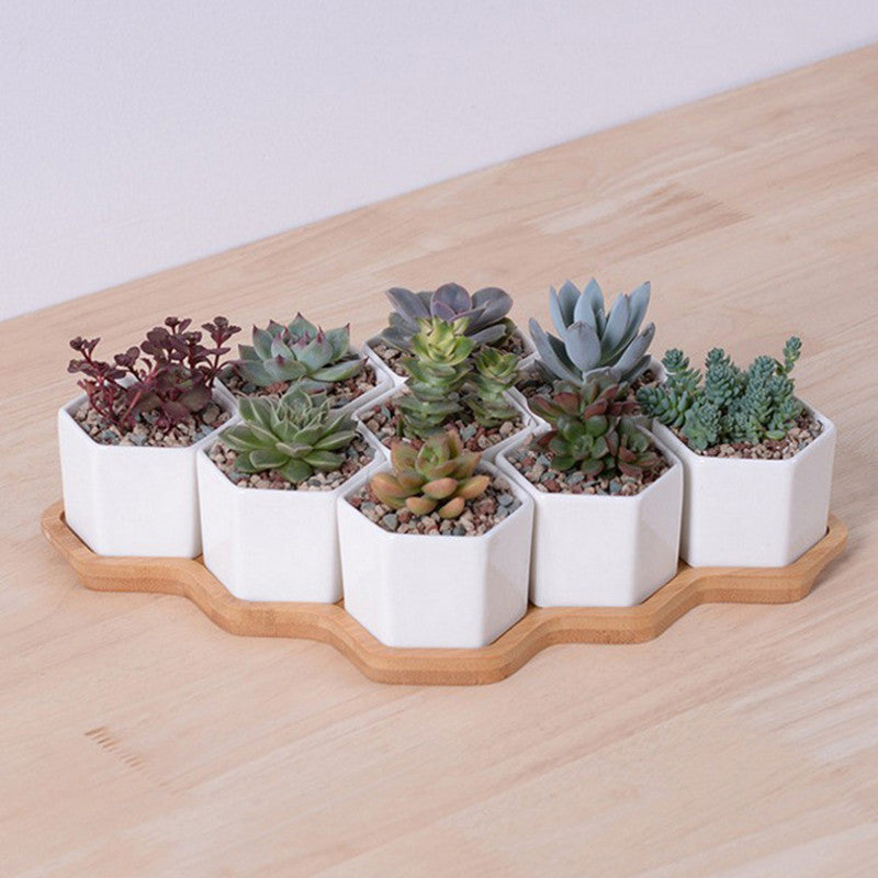 White Ceramic Hexagonal Succulent Planter Set (4 pcs)