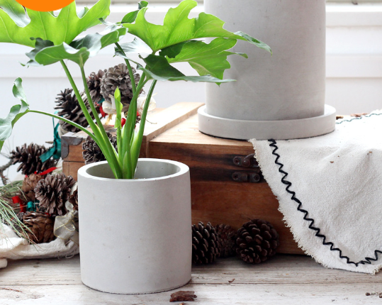 Creative Square Cement Planter for Succulents and Cacti