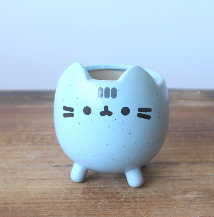 Hand-Painted Ceramic Succulent Planter Pot