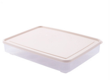 Transparent Plastic Egg Storage Box for Refrigerator