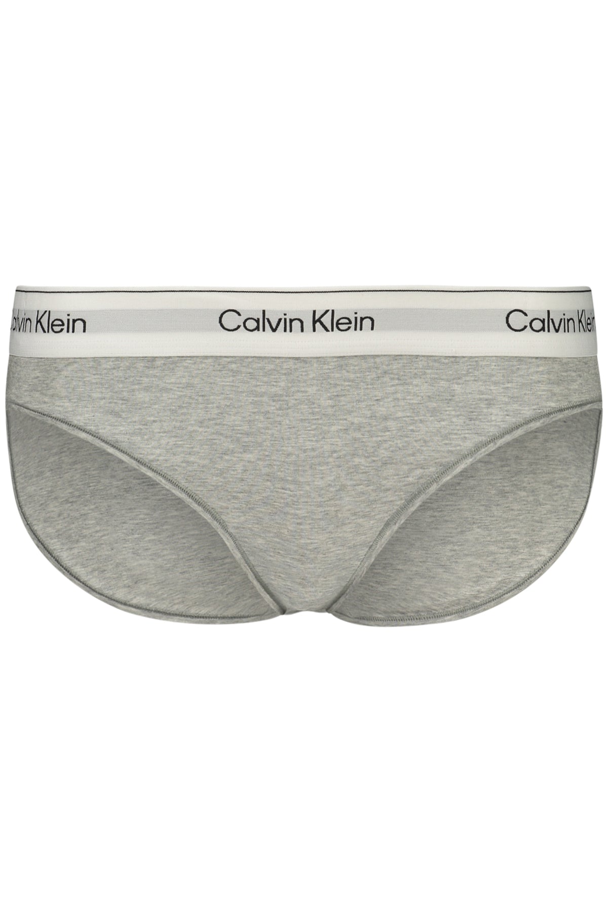CALVIN KLEIN WOMEN'S BRIEFS GRAY