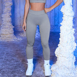 Thread Fitness Yoga Pants