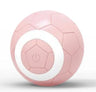 Electric Pet Toy Ball