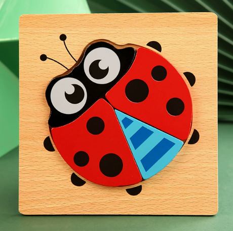 Montessori Wooden Educational Puzzle Board (One Set)