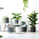 Nordic Style Iron Planter with Gold Trim (Large)