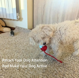 Smart Rolling Pet Ball