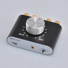 100W Bluetooth Amplifier for Home and Car Use