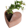 Creative Heart-Shaped Concrete Planter for Succulents