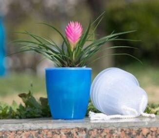 Self-Watering Planter for Green Plants and Succulents