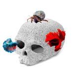Aquazoo Premium Fish Tank DecorationsReptile Tank Accessories Aquarium Decor Terrarium Decor for FishReptiles Hiding Playing and Resting Spots - Avoid Aggressive Behavior (Skull)