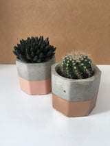 Octagonal Silicone Concrete Planter Mold and Ice Tray