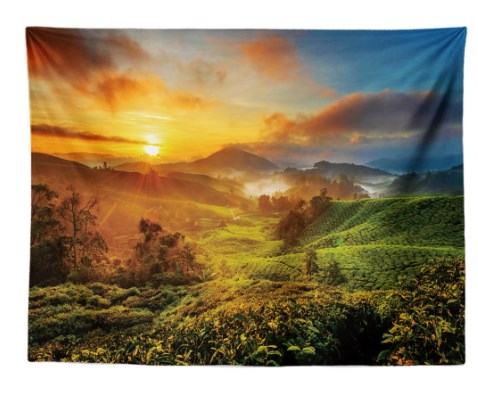 Printed Tapestry for Home Decor and Background