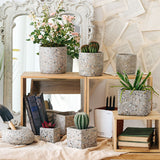 Creative Retro Concrete Succulent Planter for Table