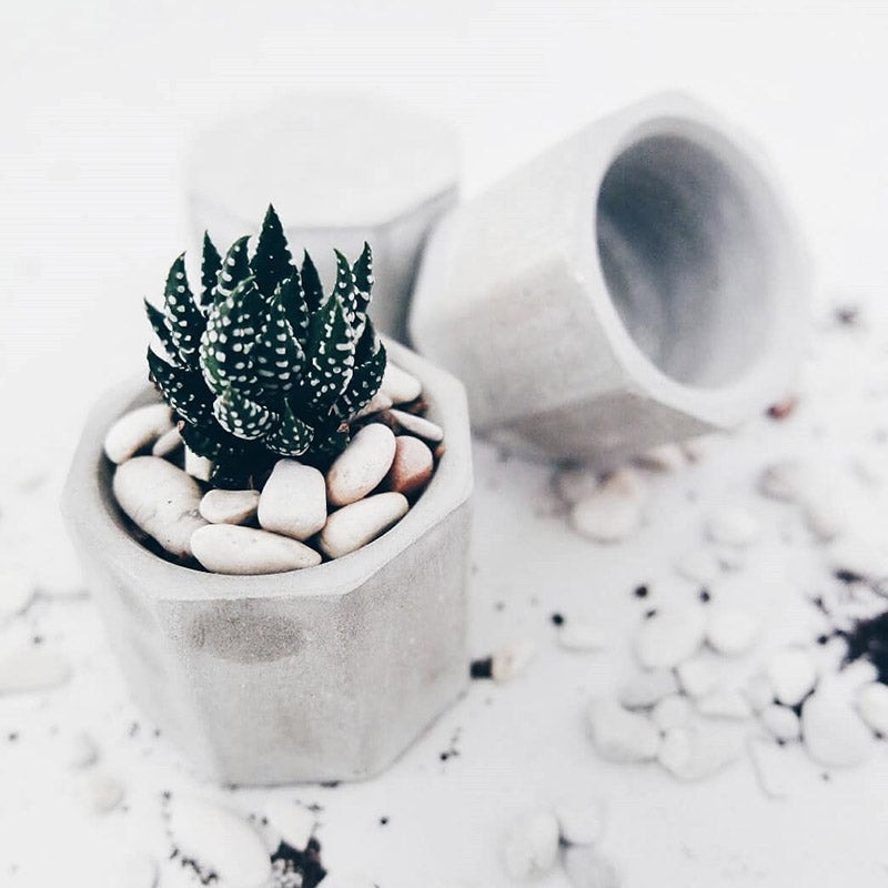 Octagonal Silicone Concrete Planter Mold and Ice Tray