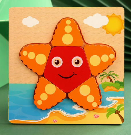 Montessori Wooden Educational Puzzle Board (One Set)