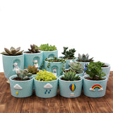 Creative Ceramic Cactus Planter with Animal Design