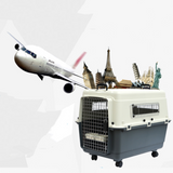 Pet Air Travel Box