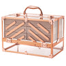 FRENESSA Makeup Train Case 11.8 Inch Acrylic Large 6 Tray Large Makeup Organizer Case Portable Cosmetic Storage Box for Makeup Artist Jewelry Nail Kits Crafts Beauty Makeup Display Case Rose Gold