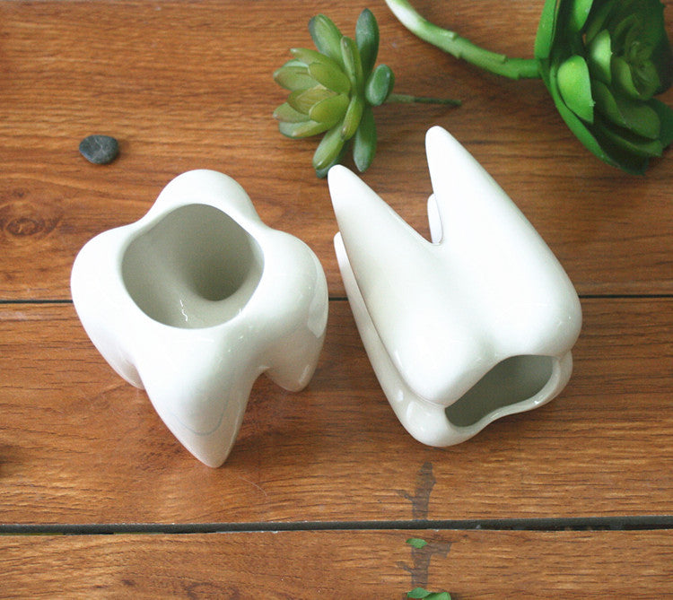 Wholesale White Ceramic Tooth-Shaped Planter Pot