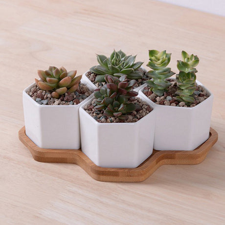 White Ceramic Hexagonal Succulent Planter Set (4 pcs)