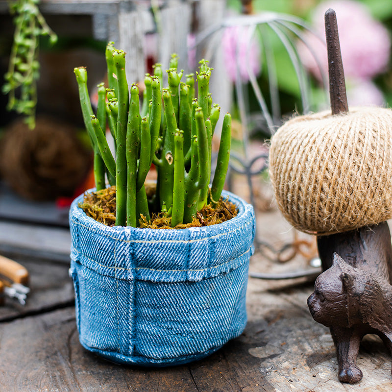 Denim Pocket Planter - Creative Nordic Desktop Decor