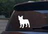 Cute Dog Wall Stickers for Car Windows