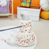 Autumn & Winter Pet Clothes
