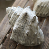 Ceramic Seashell Planter for Garden Decoration