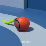 Pet Toy Ball – Bite-Resistant & Fun for Cats