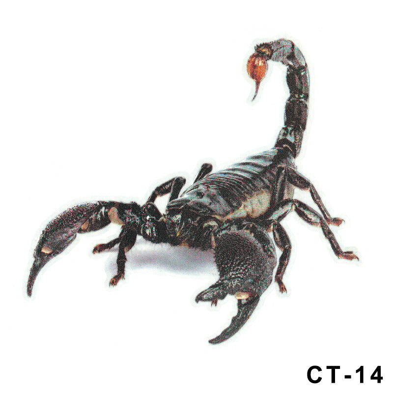 3D Spider Gecko Car Sticker for Realistic Customization