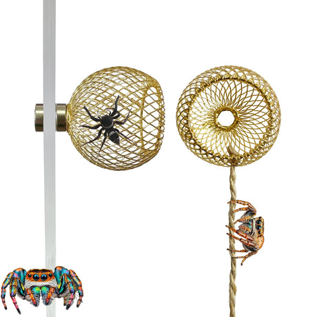 Okueejur 2PCS Jumping Spider Hide Jumping Spider Enclosure Accessories Pet Spider Hideout Enclosure Accessories (Not Included The Jumping Spider Terrarium) (Gold)
