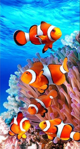 Clownfish Diamond Painting Home Decor Art