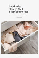 Portable Underwear and Clothes Storage Organizer Box