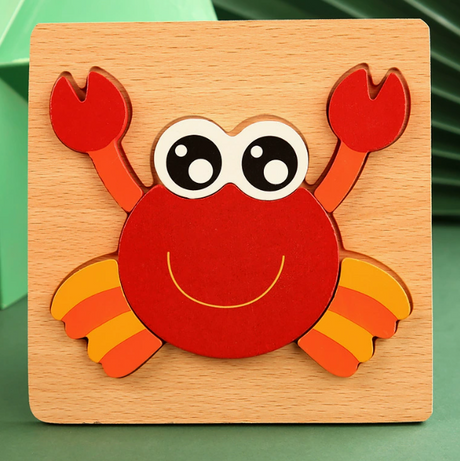 Montessori Wooden Educational Puzzle Board (One Set)