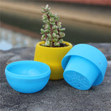 Mini Colorful PP Succulent Planter - Simple Design