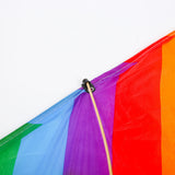 Rainbow Kite - Weifang Kite Toy