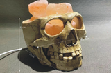 Resin Skull Rock Lamp - Halloween Home Decor Night Light