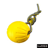 EVA Pet Toy Ball - Floating Frisbee for Dogs