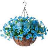 Violet Hanging Garden Basket