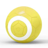 Electric Pet Toy Ball