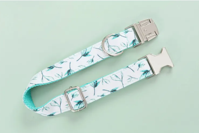 Pet Leash