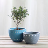 Handmade Cement Planter for Succulents and Greenery